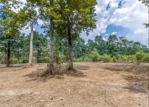 Spruce Lake Beach Front Property