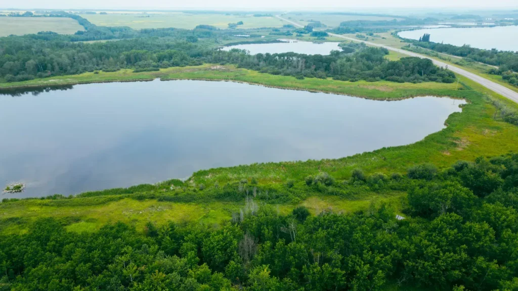 Spruce Lake Beach Front Property