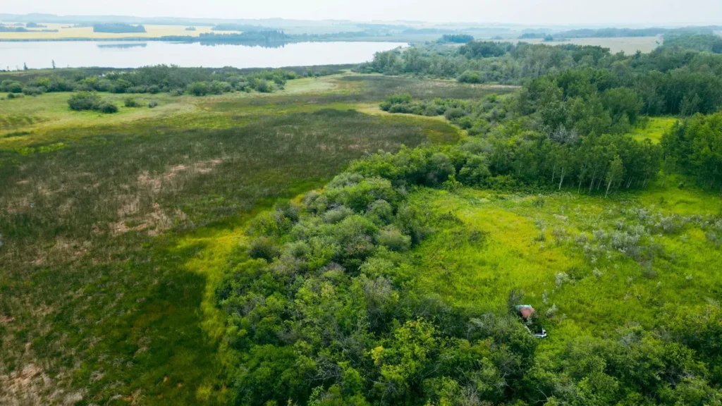 Spruce Lake Beach Front Property