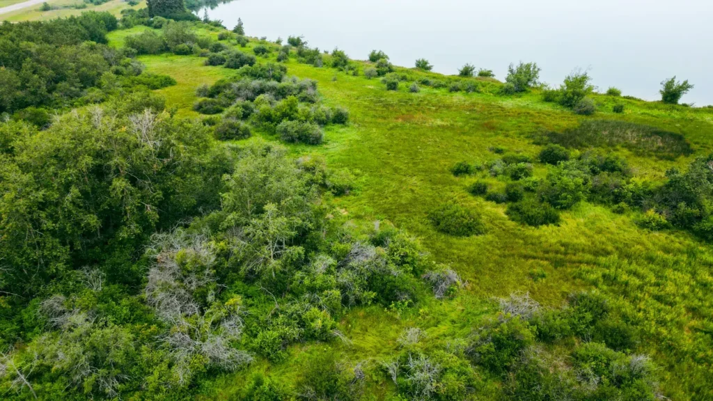 Spruce Lake Beach Front Property