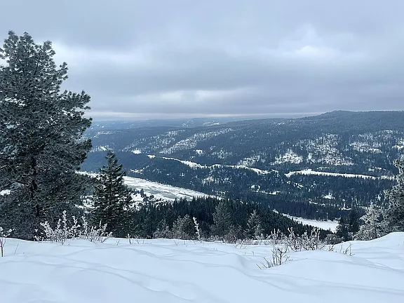 1.65-Acre Vacant Lot Near Tiger Slough – Perfect for RV or Home