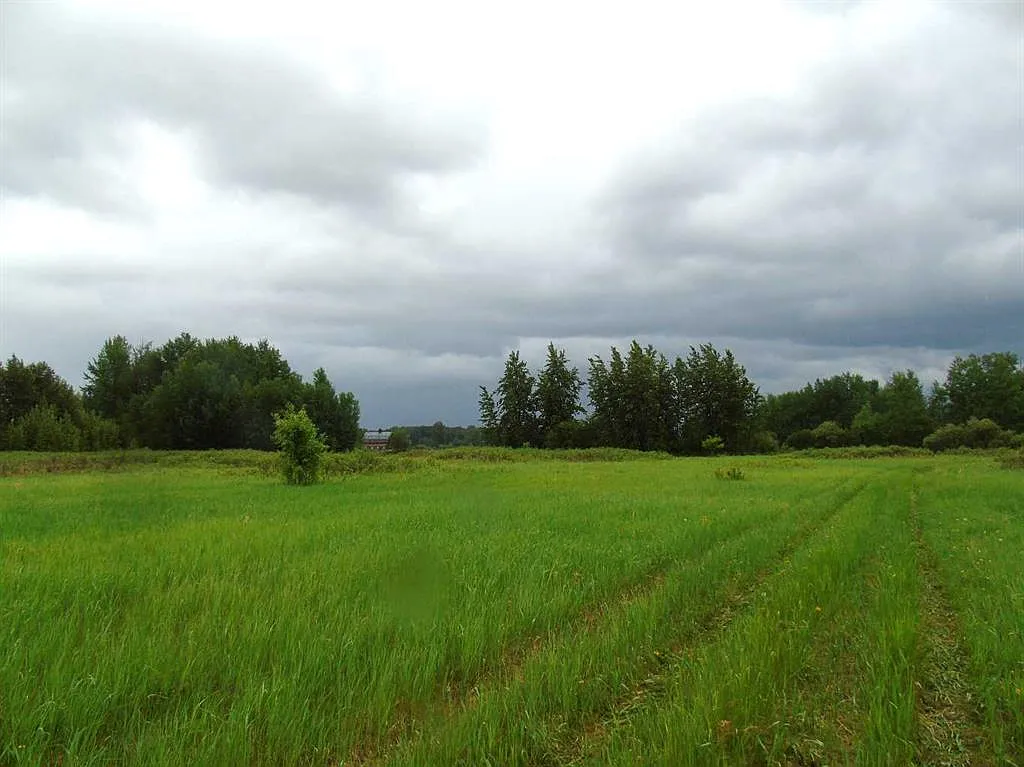 Huge corner lot for sale in Alberta, Canada