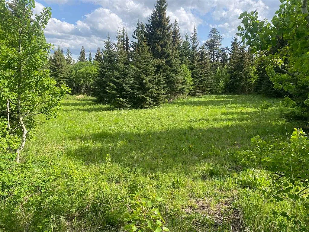 5 Heritage Pl E, Barnwell, AB T0K 0B0