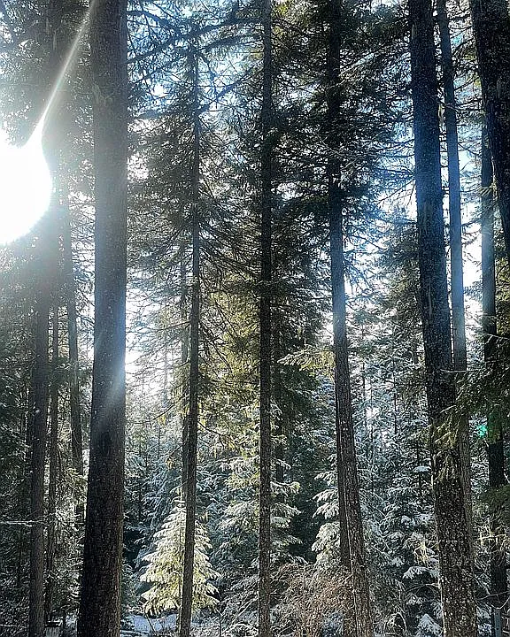 1.65-Acre Vacant Lot Near Tiger Slough – Perfect for RV or Home