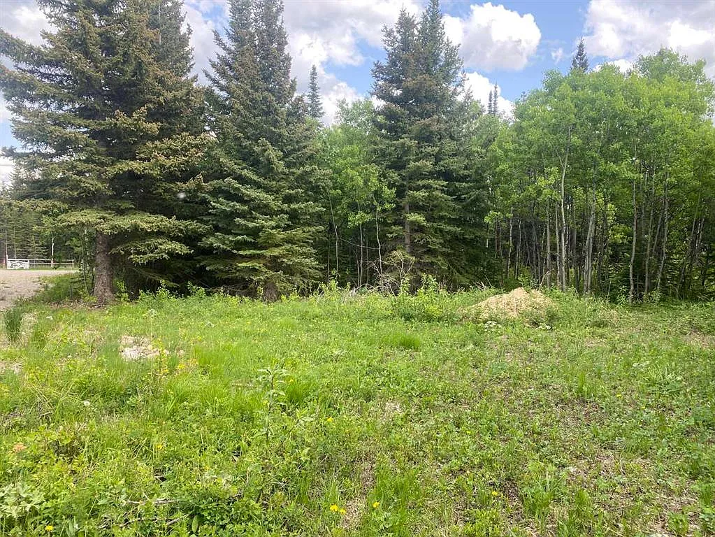 5 Heritage Pl E, Barnwell, AB T0K 0B0