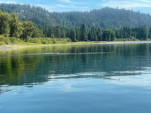 1.65-Acre Vacant Lot Near Tiger Slough – Perfect for RV or Home