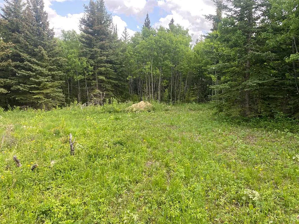 5 Heritage Pl E, Barnwell, AB T0K 0B0