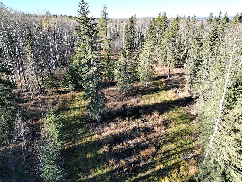 6.33-Acre Treed Lot in Tollerton Hills Estates – Private Building Site