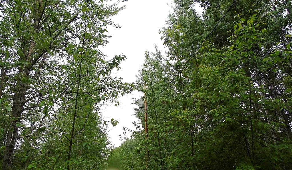 Huge corner lot for sale in Alberta, Canada