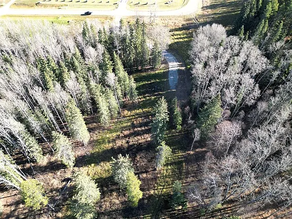 6.33-Acre Treed Lot in Tollerton Hills Estates – Private Building Site