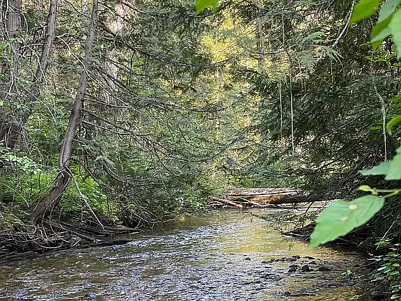 1.65-Acre Vacant Lot Near Tiger Slough – Perfect for RV or Home