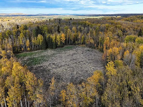 58.81-Acre Private Land Near Edson – Build, Business, or Recreation