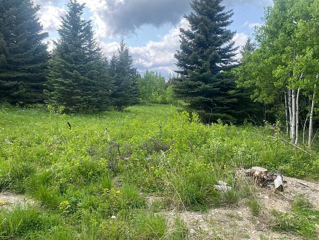 5 Heritage Pl E, Barnwell, AB T0K 0B0