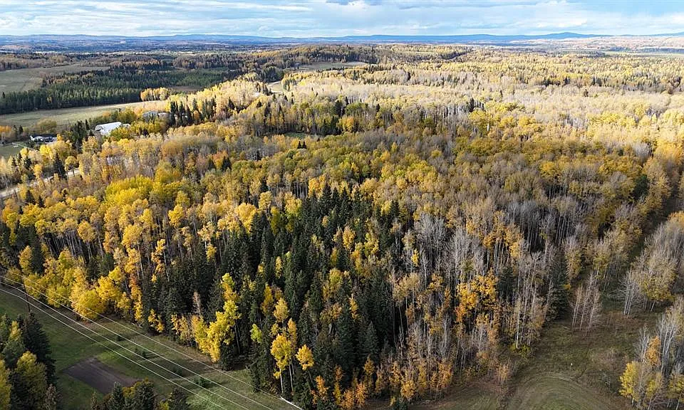 58.81-Acre Private Land Near Edson – Build, Business, or Recreation