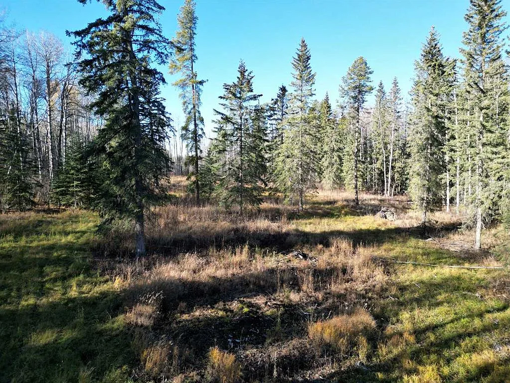 6.33-Acre Treed Lot in Tollerton Hills Estates – Private Building Site