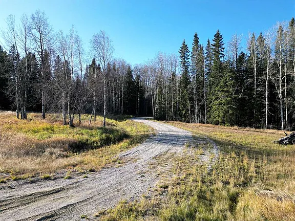 6.33-Acre Treed Lot in Tollerton Hills Estates – Private Building Site