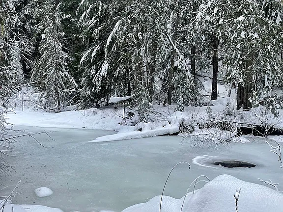 1.65-Acre Vacant Lot Near Tiger Slough – Perfect for RV or Home