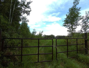 Huge corner lot for sale in Alberta, Canada