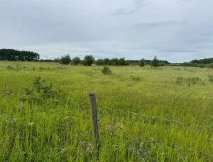 6-Acre Vacant Land Near Peace River – Quiet and Spacious