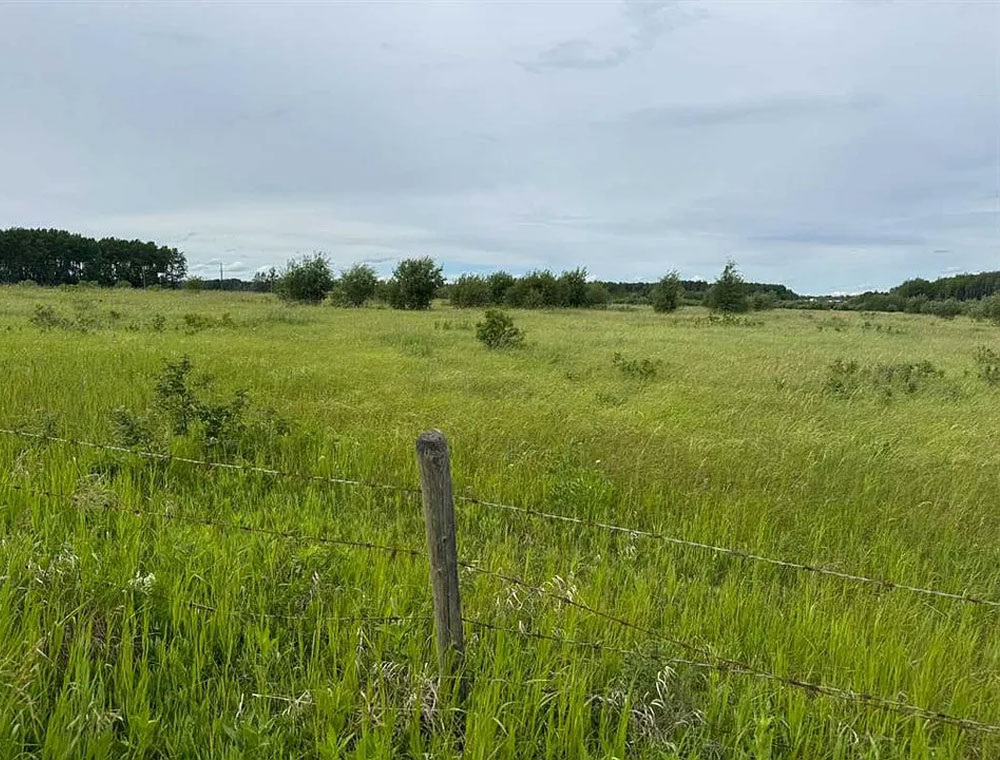 6-Acre Vacant Land Near Peace River – Quiet and Spacious