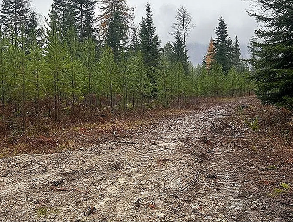 1.65-Acre Vacant Lot Near Tiger Slough – Perfect for RV or Home