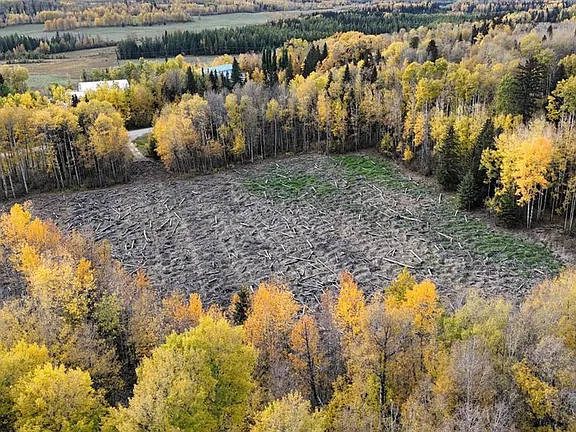 58.81-Acre Private Land Near Edson – Build, Business, or Recreation