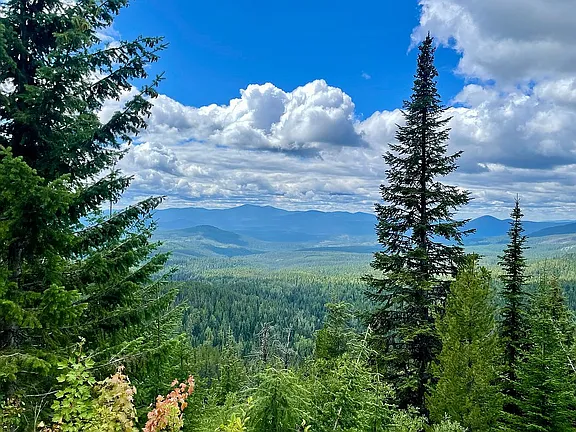 1.65-Acre Vacant Lot Near Tiger Slough – Perfect for RV or Home