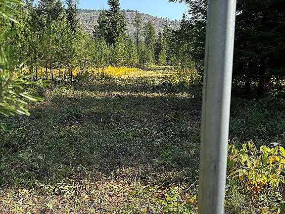 1.65-Acre Vacant Lot Near Tiger Slough – Perfect for RV or Home