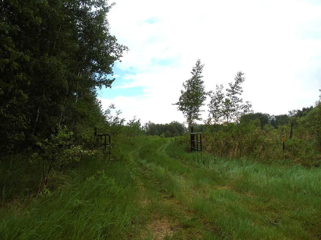 Huge corner lot for sale in Alberta, Canada