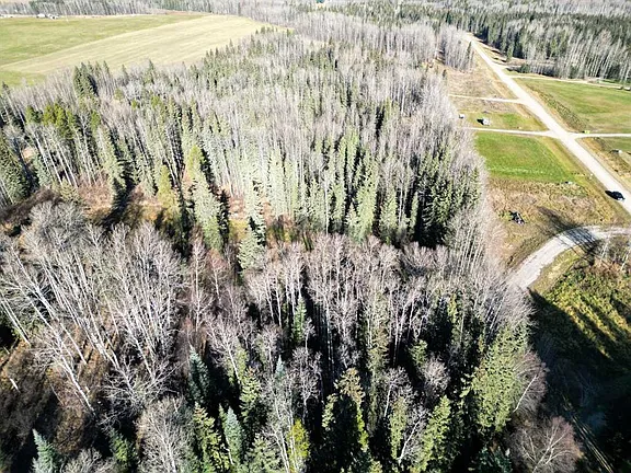 6.33-Acre Treed Lot in Tollerton Hills Estates – Private Building Site