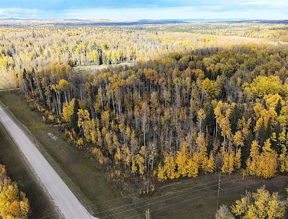 58.81-Acre Private Land Near Edson – Build, Business, or Recreation